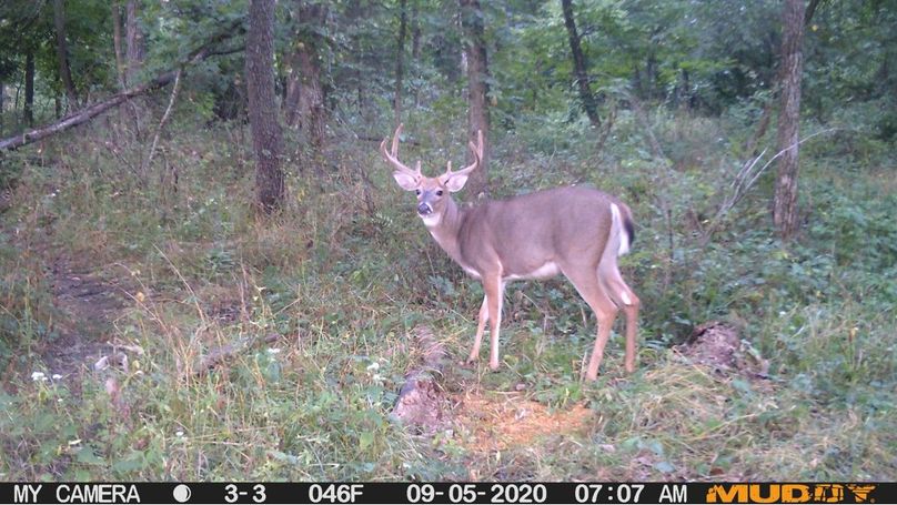 6543a5d40712446989c95fadf1138ed7