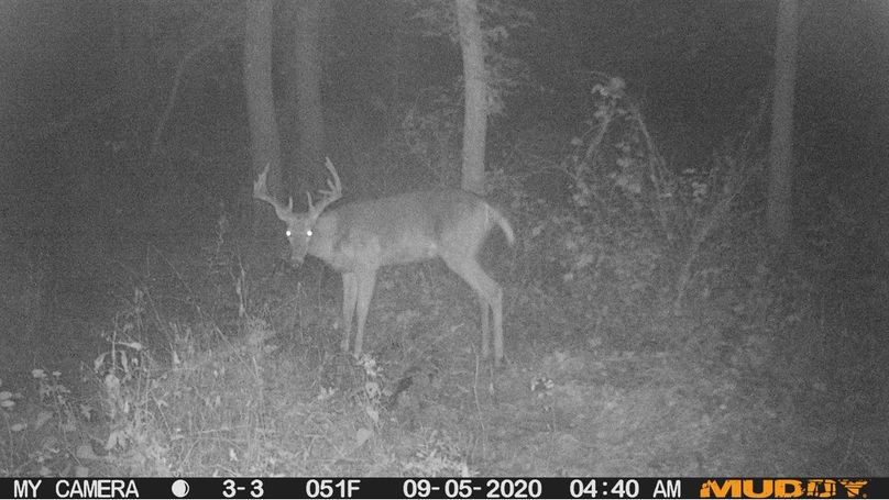 7945473e556f4d6788f36799a1cfde34