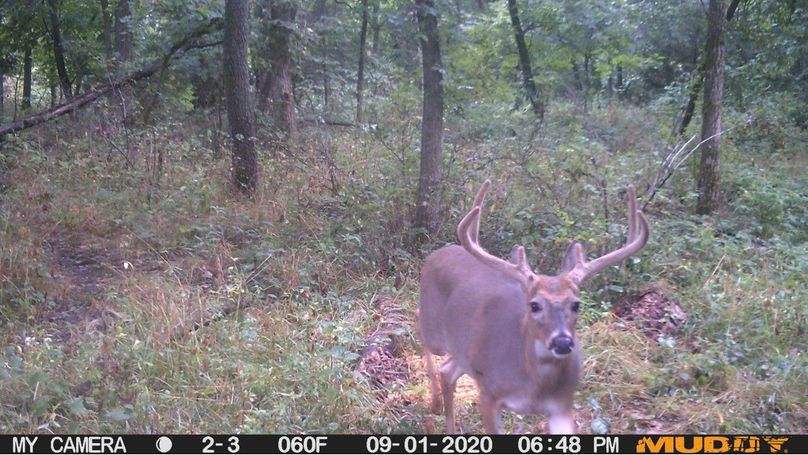 7e8527fc25014392891438cb3cd0df97