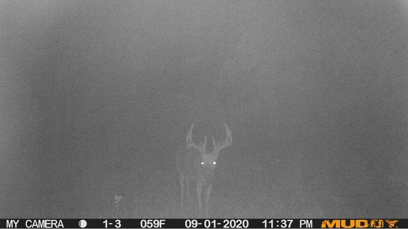 839fa986d00a4291a4a5c19ceb47c89d