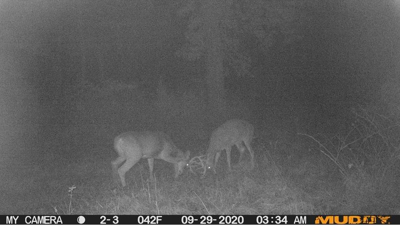 97a4a377711041408a319020dfa14637