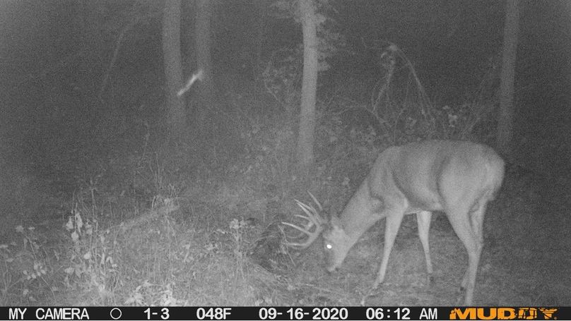 9957662860fc4915b4320c25616a61f7