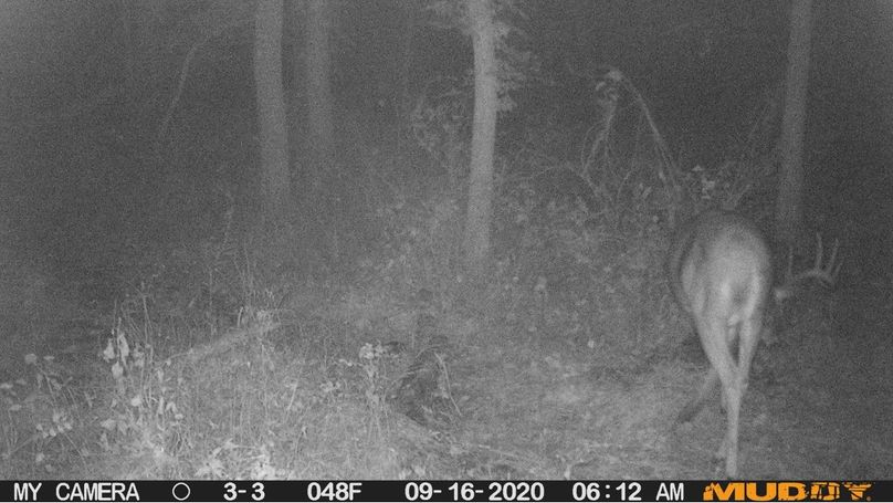 02c74d0dd49c4508ada8c9388060f323