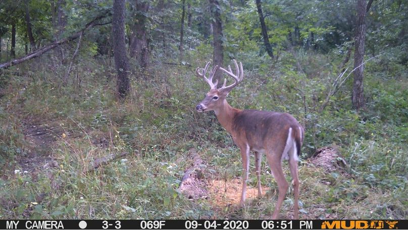 034f54a3d8ce4b568ab083427b22eacf