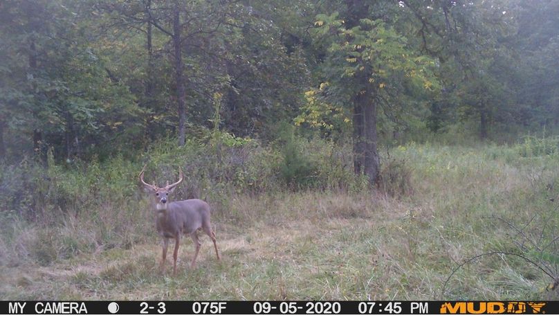 1d8485161ede4415842956b189bc415f