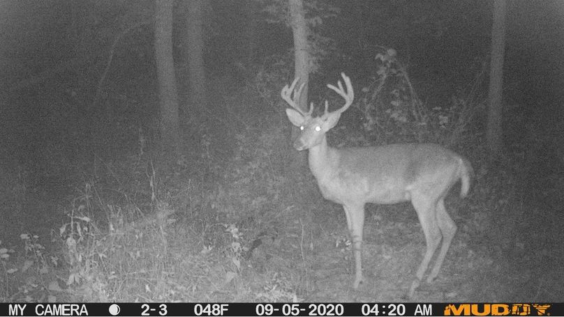 30736b82e7414ed687d1315035b64a8f