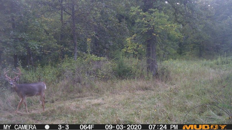 33857bed08f841b7b679b457c2909dac