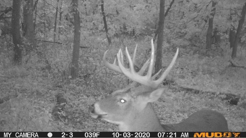 A48a3aa5e4774bfc9cbec01b3bb5c23d