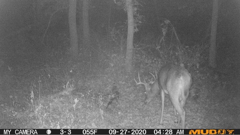 B9e138be552b40deb7eb6df1c1885f27