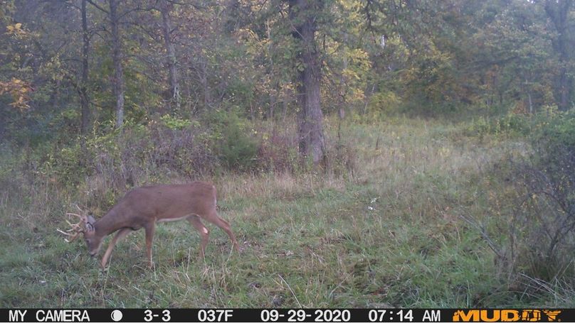 Bddb7afef39f452b8335e08463297823