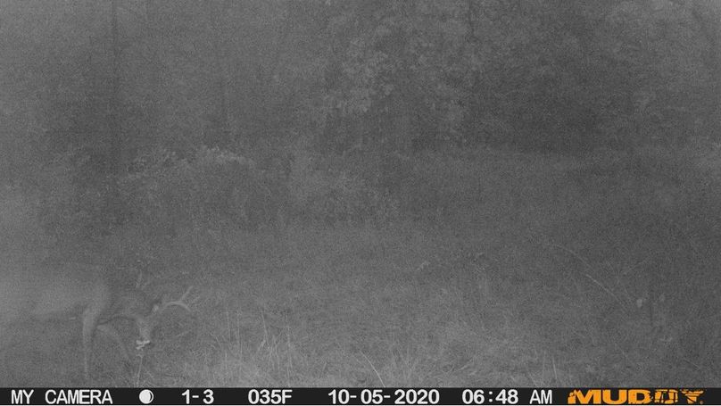 Bee9d7a569c441a7be086cf518a3b392