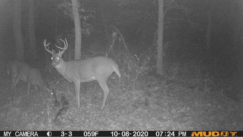 Cb2fc3cd387040f5beb2db68095dcd93