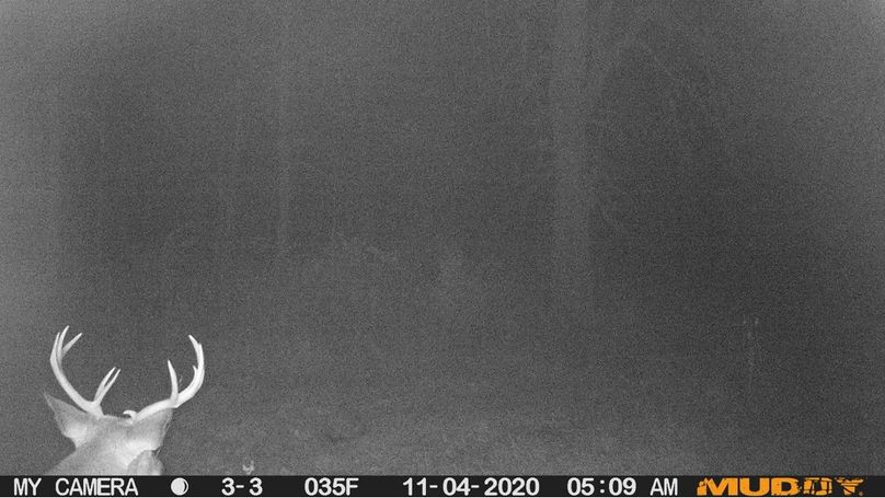 D3de050a2a264e529416009cf40dc2a0