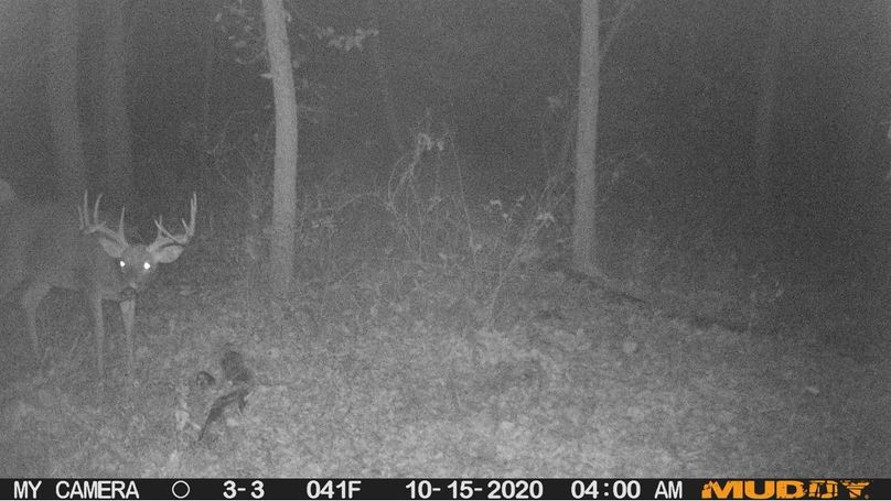 D11fa71ff5b34e4eb07479da52e8f11a