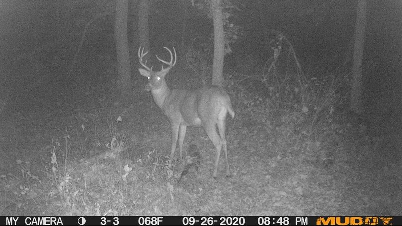 D59e8bad3feb46f29fbfd849e96feca1