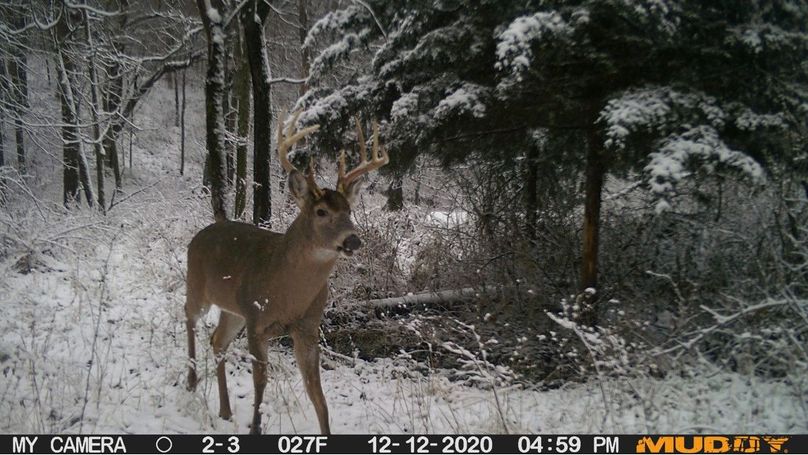 Dcfba0c27c8e432585e74a98654940a9