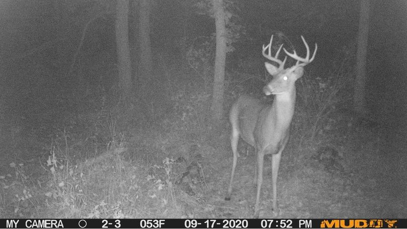 E999315c2059437d9736f6d05b555e1a