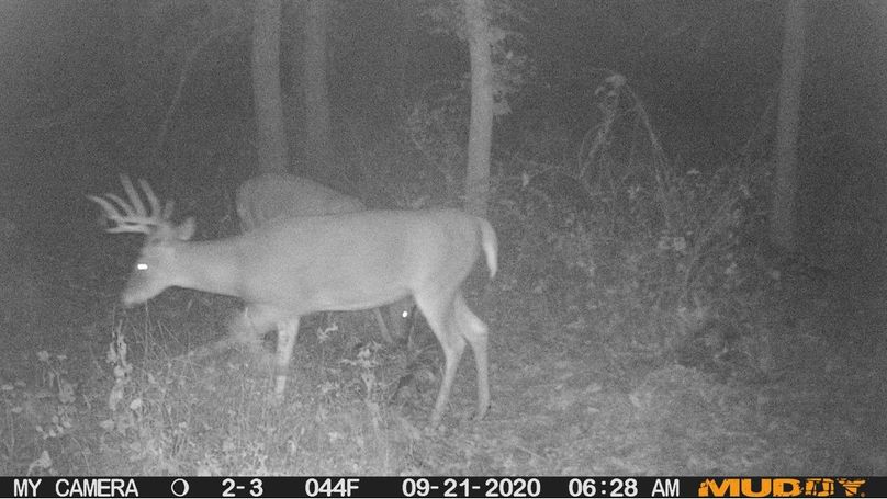 F21138d0c6cc431abb65327470997883