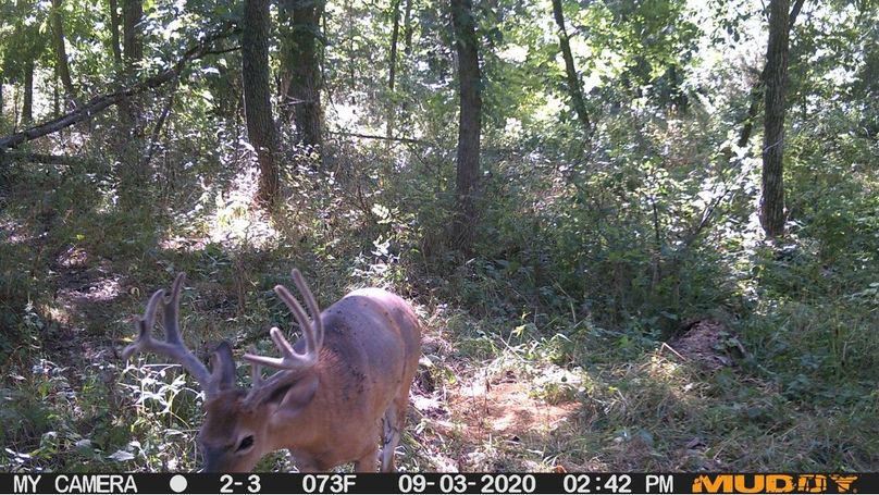 Ffc5009424b849d5bedb9d633080343b