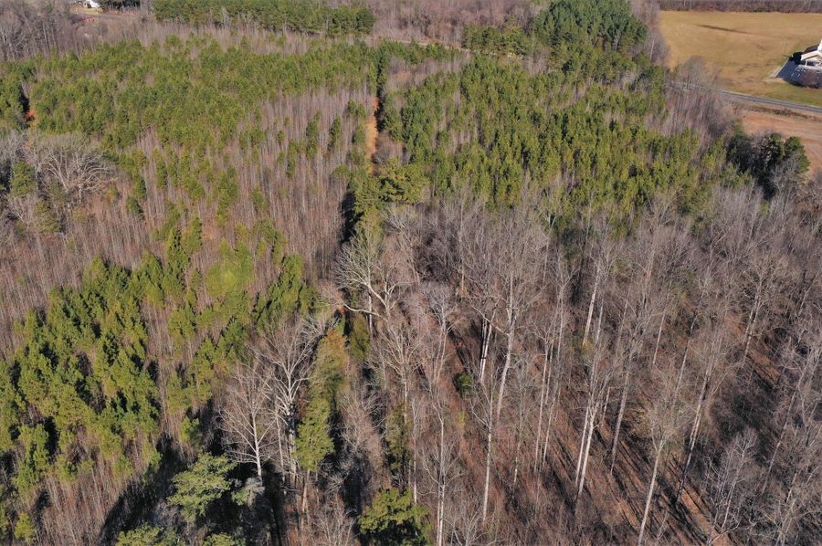 Dji 0365