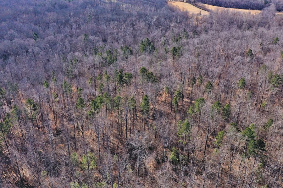 Dji 0368