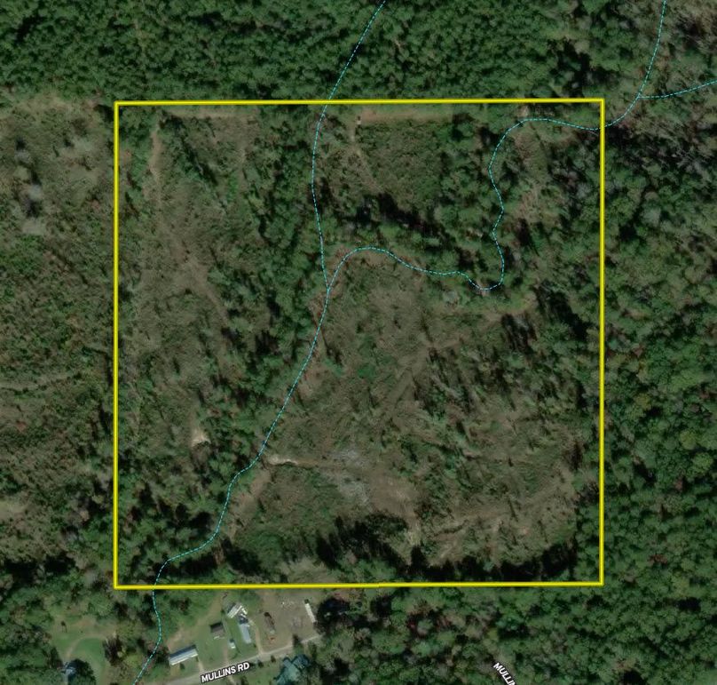 38 ac. amite co. aerial