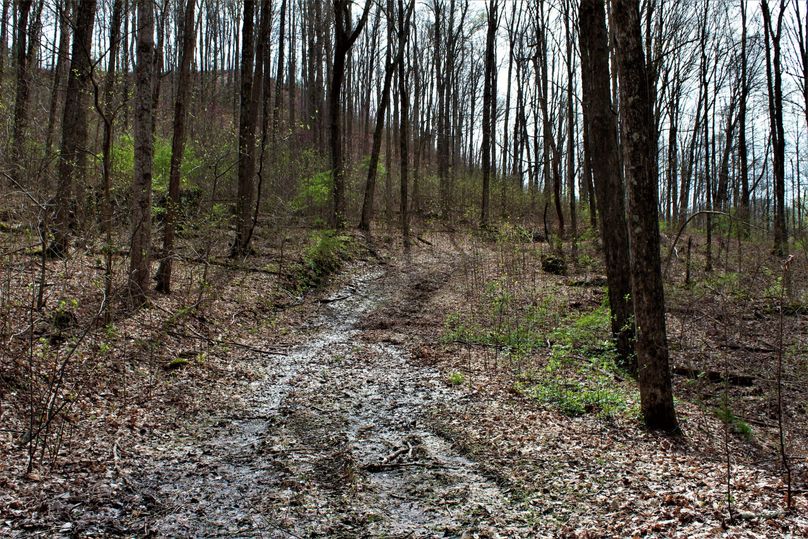 002 great trail system throughout the property