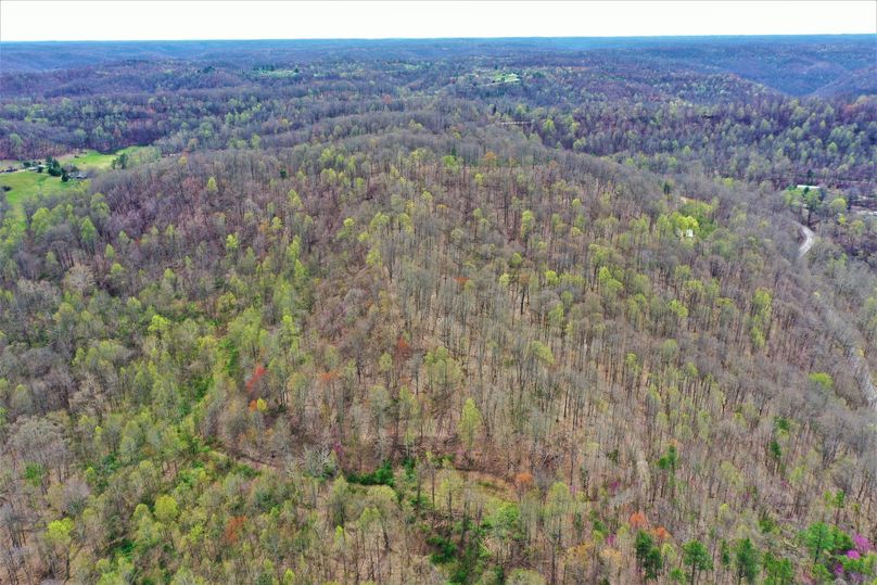 005 gorgeous drone shot showing the trail systems below