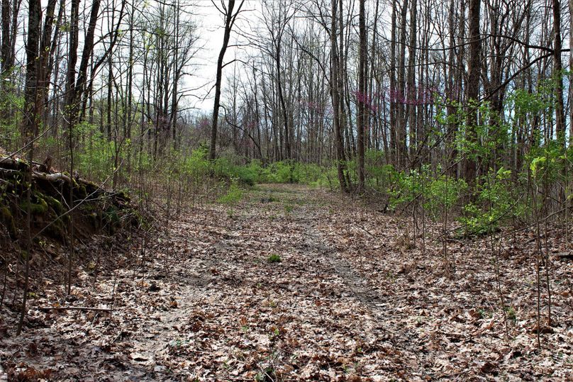 009 well maintained trail system throughout