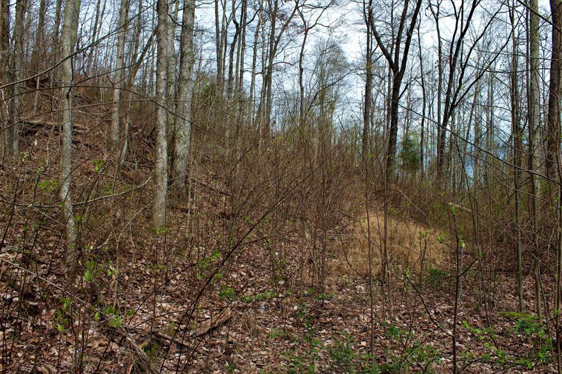 013 thick bedding cover and trailways for deer