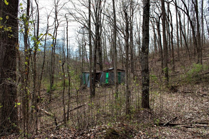 010 old home structure