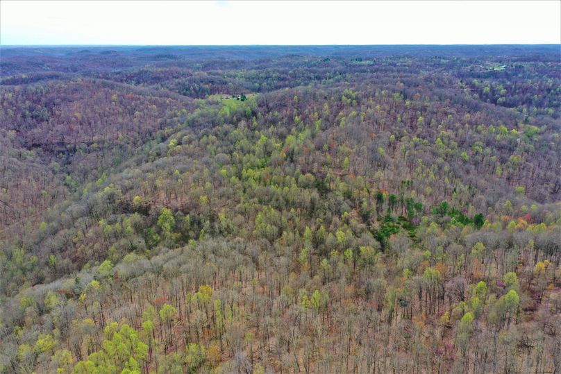 017 spring is coming... 