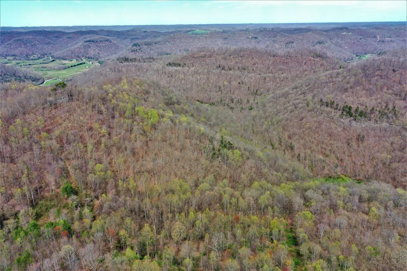 014 awesome aerial shot of limestone rock lines surrounding the property