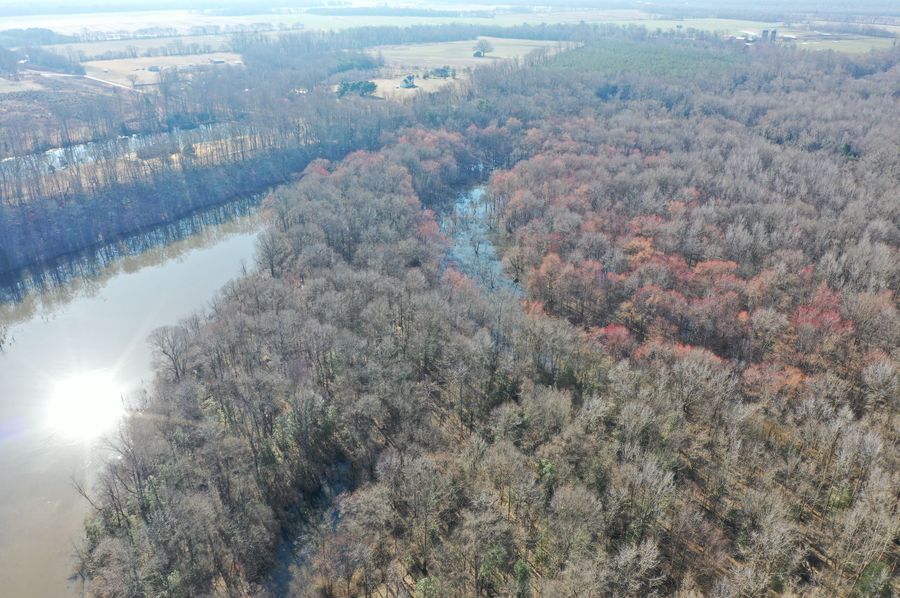 005 dji 0215