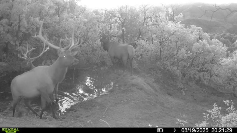 016578004083249-37-3-08192025202129-V-SYFW00050