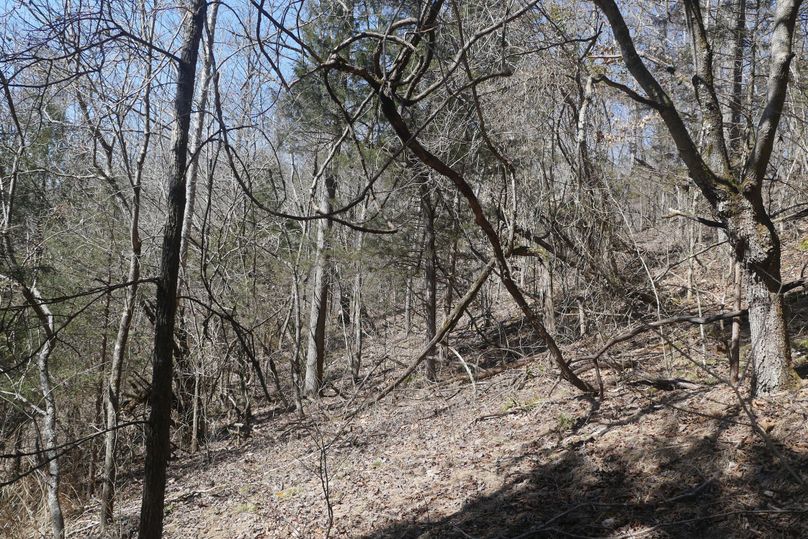 Bledsoetransitioncover