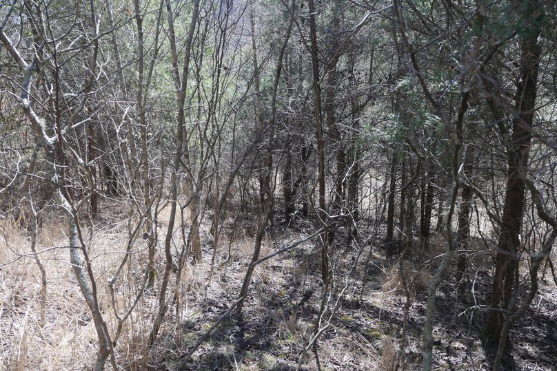 Bledsoetransitioncover2