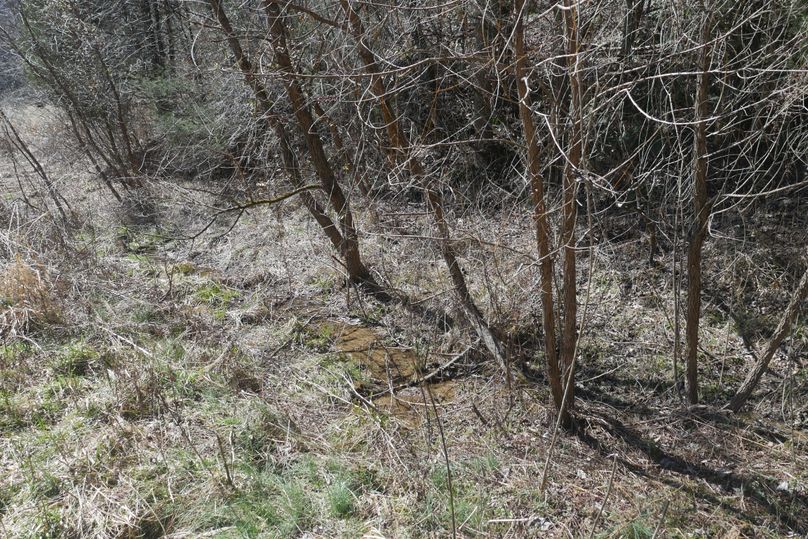 Bledsoewetweathercreek