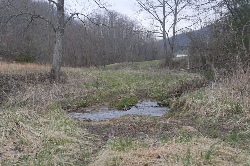 Bledsoecreekcrossing