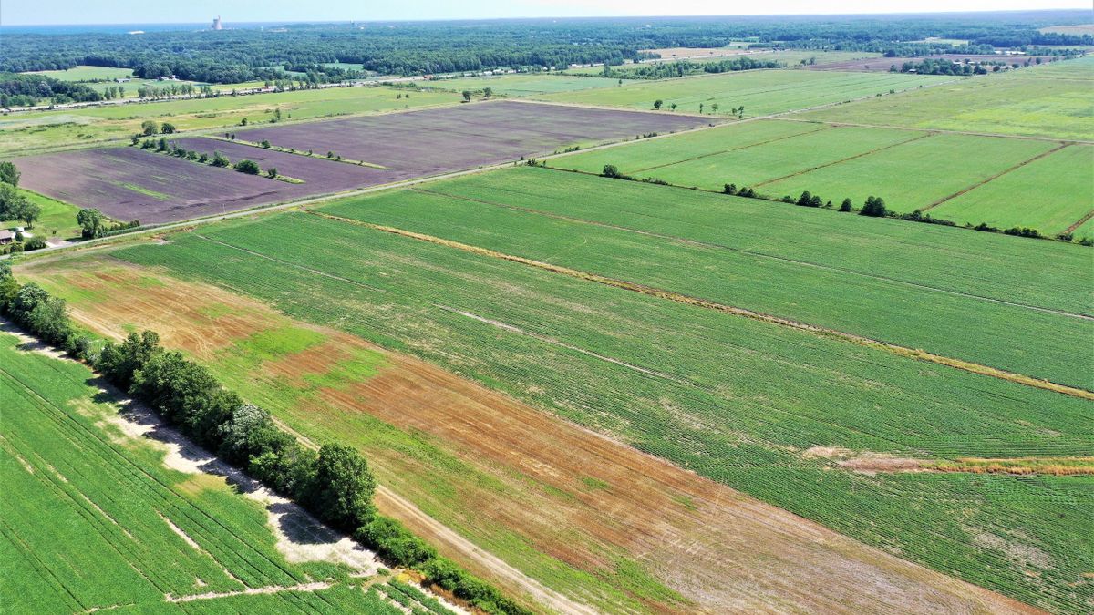 Great Opportunity To Own Productive Farmland In Northwest IN