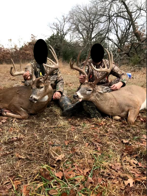 Screen shot 2021-02-15 at 3.46.01 pm