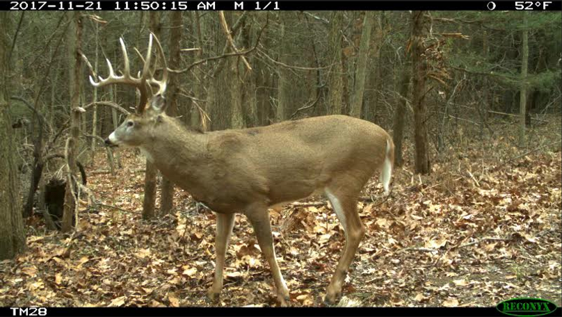 Screen shot 2021-02-15 at 3.51.03 pm