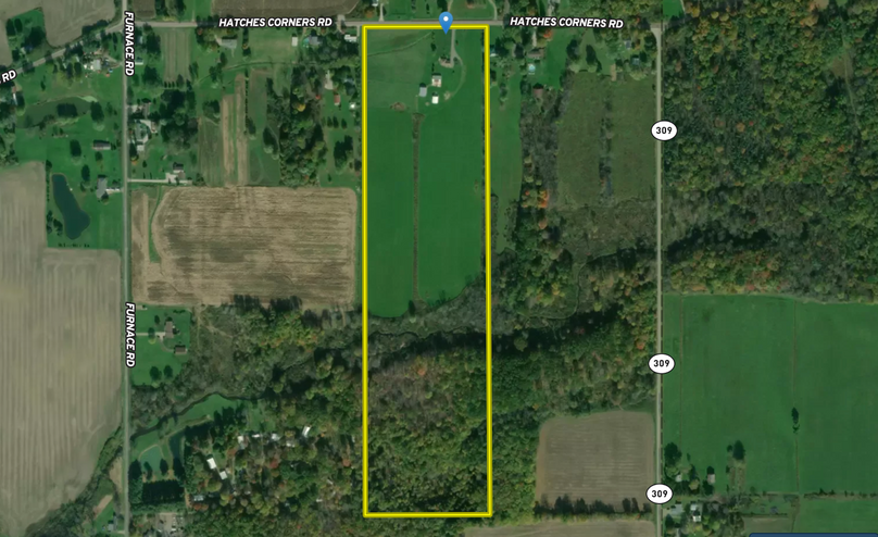 Screen shot 2021-02-15 at 11.48.47 am