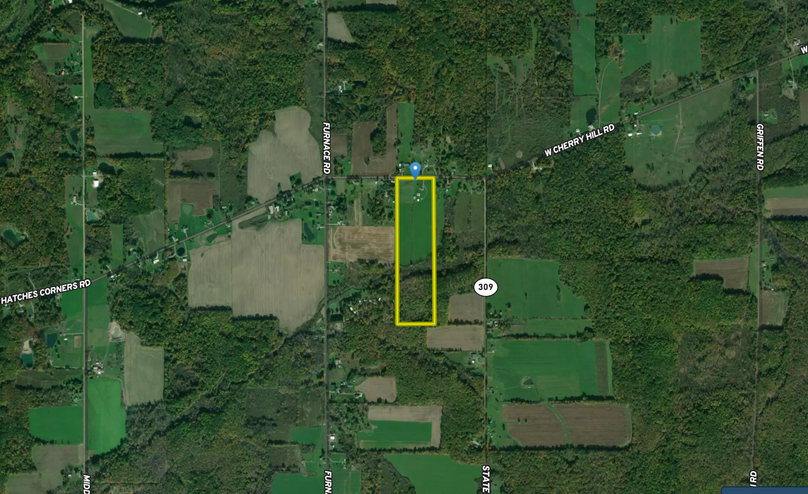 Screen shot 2021-02-15 at 11.48.54 am