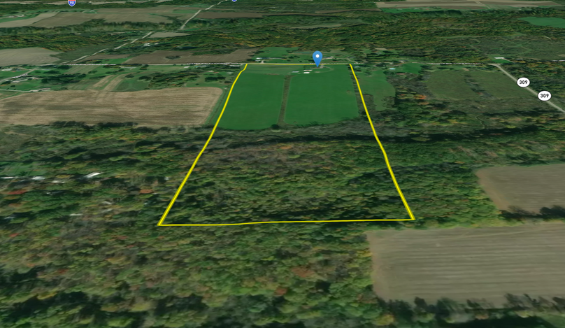 Screen shot 2021-02-15 at 11.50.08 am