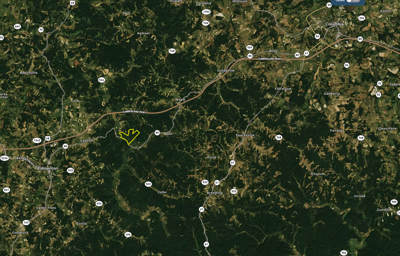 Metcalfe 295.03 zoomed out