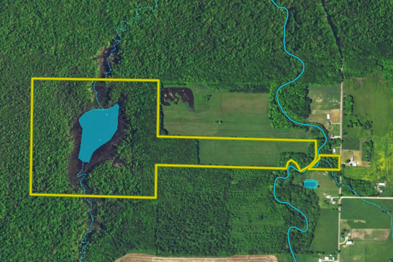 Screen shot 2021-02-15 at 8.41.24 pm-2