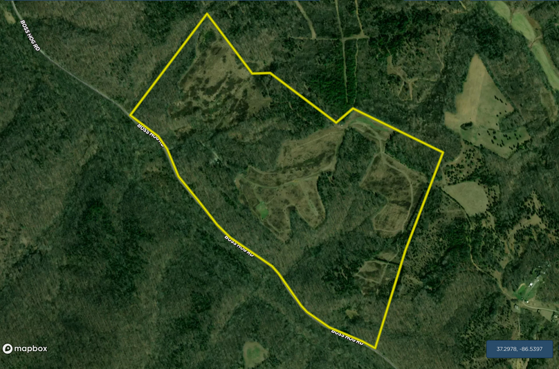 Screen shot 2021-02-11 at 8.38.42 am