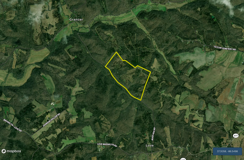 Screen shot 2021-02-11 at 8.38.56 am