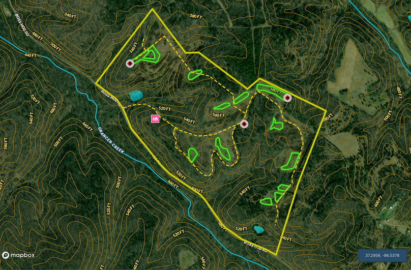 Screen shot 2021-02-11 at 8.38.03 am